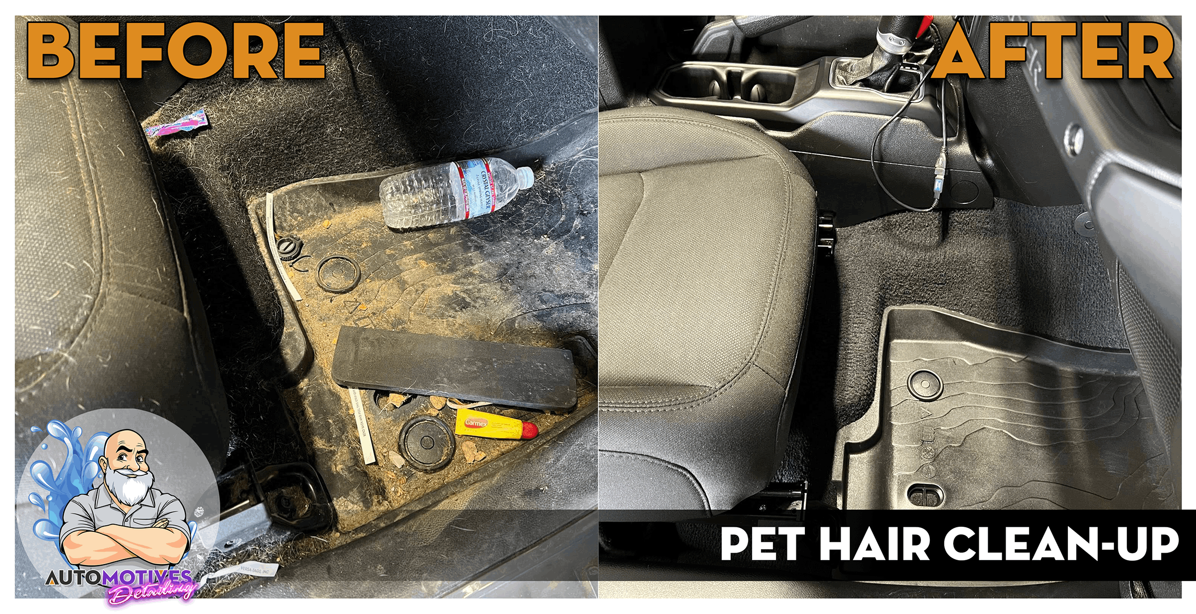 Before/After Pet Hair Clean Up